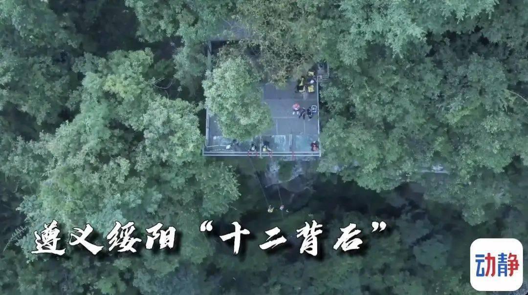 模拟狩猎